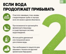 Подтопление участка после дождя: инструкция для жителей