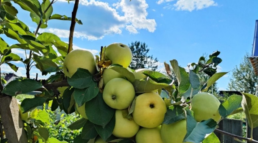Лето пролетело, оставив яркие воспоминания и прекрасные кадры – от наших подписчиков