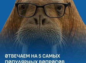 Твои знания — билет на Северный полюс