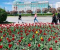 Уральскую столицу украсили распустившиеся тюльпаны