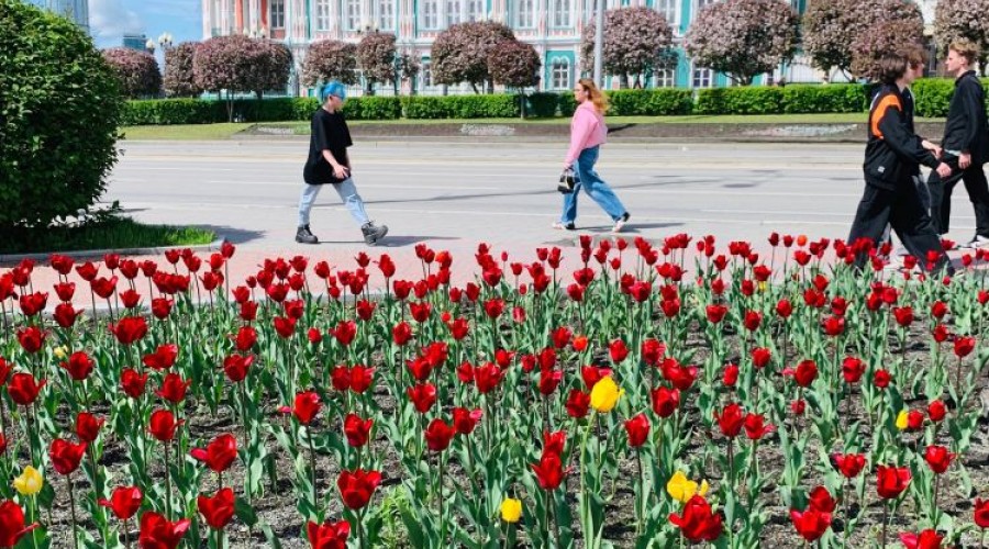 Уральскую столицу украсили распустившиеся тюльпаны